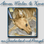 Aimee, Merlin & Xena's Bericht...
