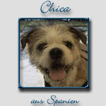 Chica's Bericht...