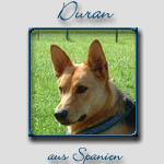 Duran's Bericht...