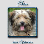 Filou's Bericht...
