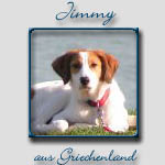 Jimmy's Bericht...