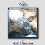 Lia's Bericht...