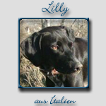 Lilly's Bericht...