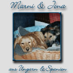 Marni & Jona's Bericht...