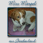 Miss Marpel's Bericht...