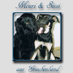 Mouri & Sissis Bericht...