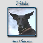 Nikki's Bericht...