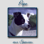 Pepe's Bericht...