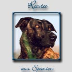 Rasta's Bericht...