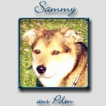 Sammy's Bericht...
