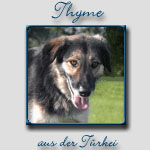 Thyme's Bericht...